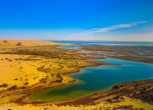 Private Day Tour to El Fayoum Oasis and sightseeing from Cairo