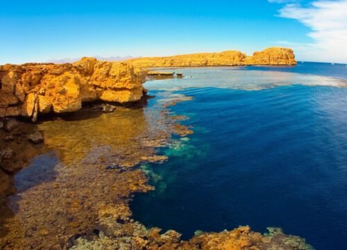 Ras Mohammed National Park Day Trip by Boat