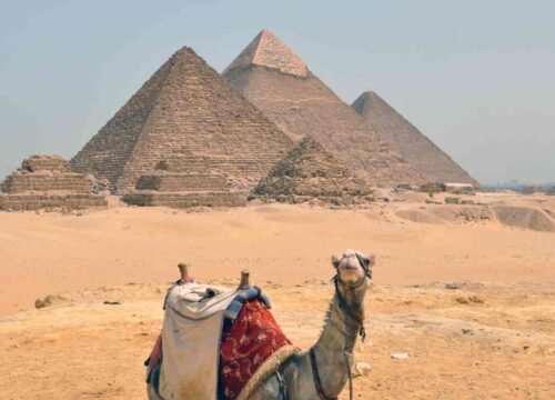 A Deep Dive into the Majestic Giza Pyramids Day Tour