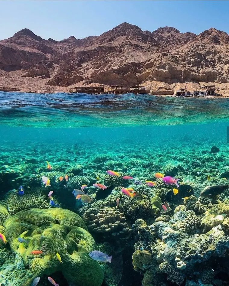 Sharm El Sheikh