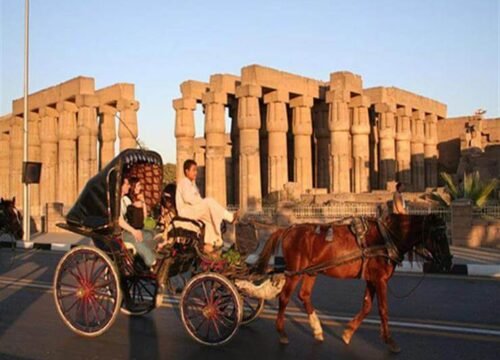 Authentic Luxor: 2-Hour Private City Tour by Horse Carriage