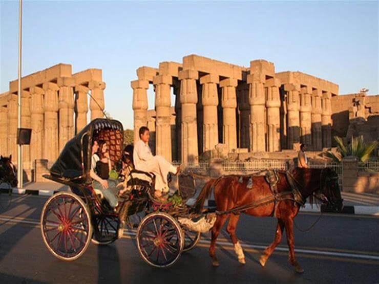 Authentic Luxor: 2-Hour Private City Tour by Horse Carriage